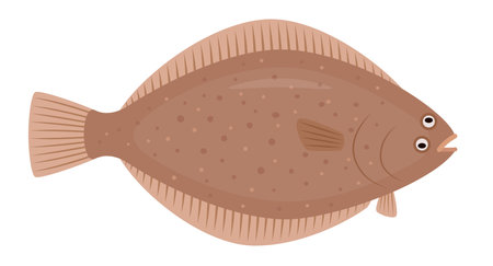 This is an illustration of a simple flounderのイラスト素材