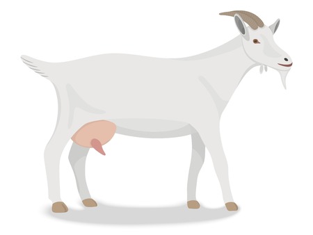 Goat standing up isolated on a white backgroundのイラスト素材