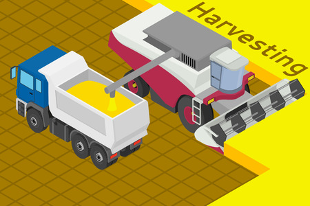 Combine harvester collect wheat in the field. Equipment for agriculture. Loads in the truck - Isometricc illustration.のイラスト素材