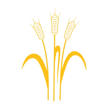 Ears of Wheat, Barley or Rye vector visual graphic icons, ideal for bread packaging, beer labels etcのイラスト素材