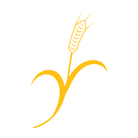 Ears of Wheat, Barley or Rye vector visual graphic icons, ideal for bread packaging, beer labels etcのイラスト素材