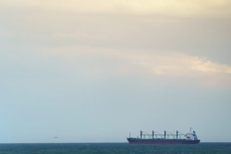 flying seagull , cargo ship, with copy spaceの写真素材