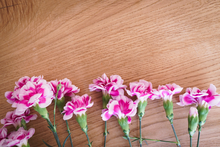 Carnation on the wooden tableの写真素材