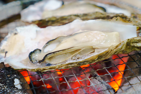 baked  Oystersの写真素材
