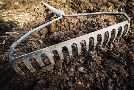 Rake in the groundの写真素材