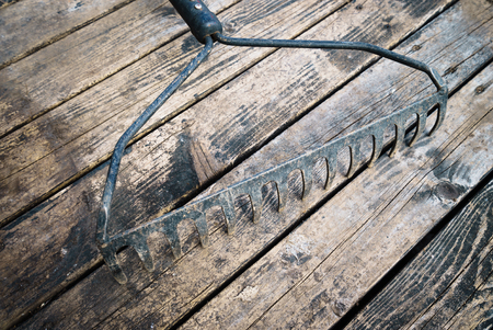 Rake on a woodの写真素材