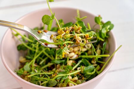 vegan healthy salad made of peas microgreen sprouts and sprouted beans in pink bowl on light background,の写真素材