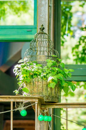 decorative cage with flowers in cafeの写真素材