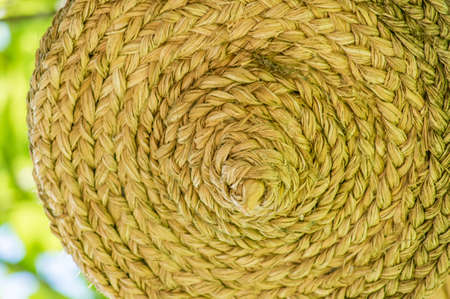 cane decorations hanging on tree in city parkの写真素材