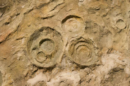 rough concrete wall textureの写真素材