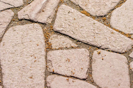 Pavement texture backgroundの写真素材