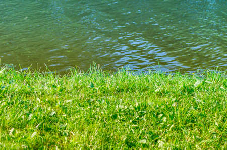 bank of the riverの写真素材