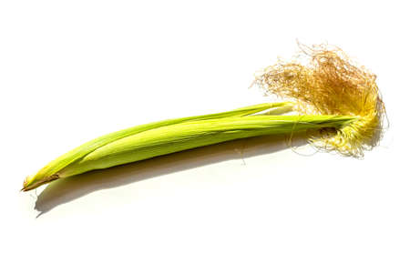 young corn cob isolated on white