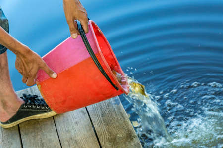 man pours out water to the pondの写真素材