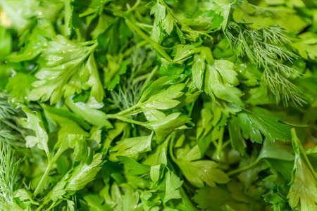 fresh parsley and dill background
