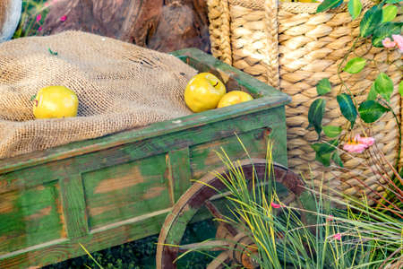 closeup of decorative installation behind the glass - wooden cart with green apples and sackcloth standing in grassの写真素材