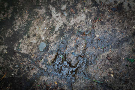 wet concreete surface. Abstract backgroundの写真素材