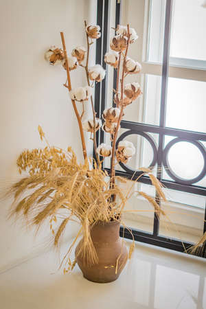 clay jug full of dry ears cotton standing on white window sill as decotation of the roomの写真素材