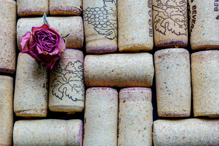 used red vine corks with dry pink rose background closeup