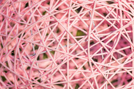 dry twigs rolled in a ball. Pink rattan ball backgroundの写真素材