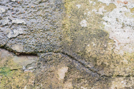 wet grunge concrete texture