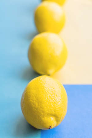 lemons in a rowv on colorful pastel backgroundの写真素材
