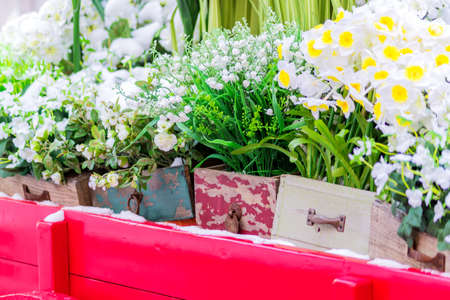 blooming flowers in wooden decorative boxes standing on red carriageの写真素材