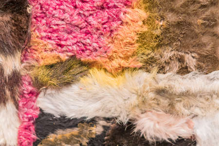 multicolored artificial fur background textureの写真素材