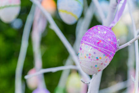colorful easter egg hanging on tree branch, close upの写真素材