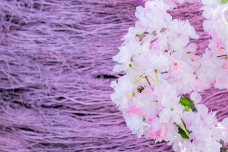 artificial branches of blooming apple tree on violet brushwood background