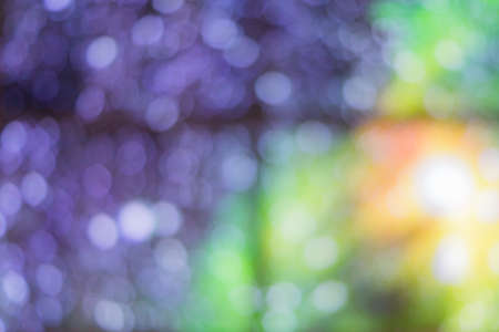 violet and green blur bokeh background