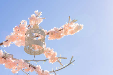 White decorative bird cage hanging on branch of blooming apple tree on sky background. Spring city...