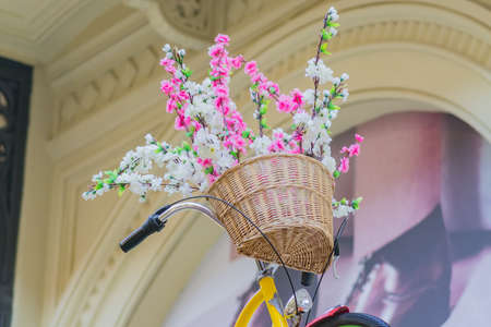 bicycle with flowers in basket, interior decorationの写真素材