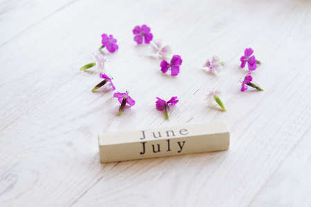 first day of July, colorful background with calendar, flowersの写真素材