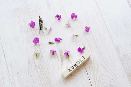 top view of wooden calendar with August sign, butterfly and pink flowers.