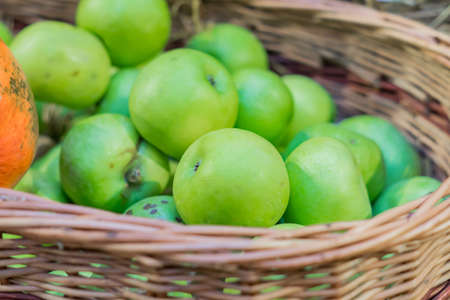 close up of green ripe apples in a basket at the farmer's marketの写真素材