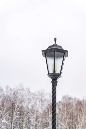 Lamp post in a winter park, Vintage black street light against trees and skyの写真素材