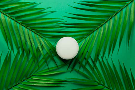White jar of face cream on a background of tropical palm green leaf. green background, top view, flat lay. Concept of natural cosmeticsの写真素材