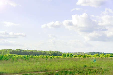rural landscape in summer sunny day. Green field and beautiful sky with clouds.の写真素材