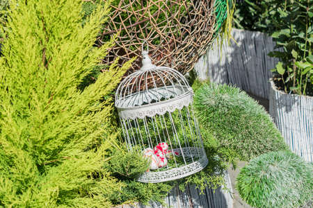easter eggs in a white decorative bird cage. Outdoors decoration.の写真素材