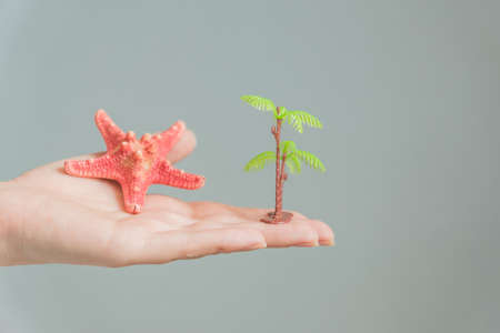 Sea starfish and palm tree in woman hand. Travel and holiday concept.の写真素材