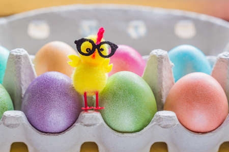 Multicolored easter eggs in a box with cute yellow chick. Copy space for your text