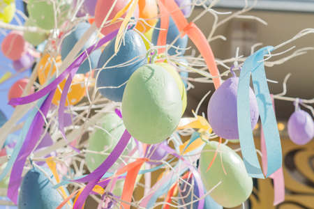 colorfull easter egg tree. brights eggs hanging from branches.の写真素材