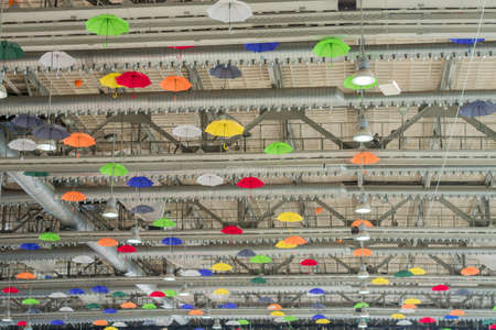 Ceiling background with hanging colorful umbrellasの写真素材
