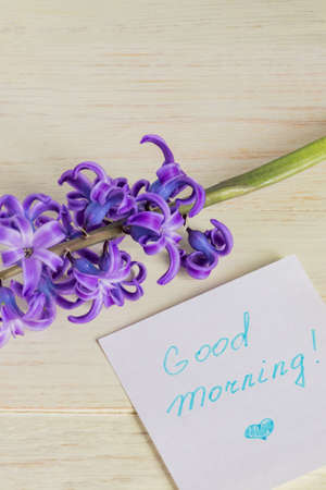 Good morning paper tag and purple hyacinth flower on wooden tableの写真素材