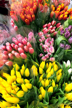 Multicolor blooming tulip flowers for sale in flower shop. Top view.の写真素材