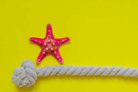 Red starfish and rope knot on bright yellow background with copy space. summer holiday and vacation conceptの写真素材