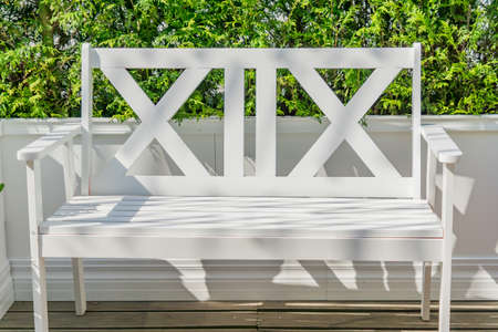Empty white bench on green Cypress cedar tree backgroundの写真素材