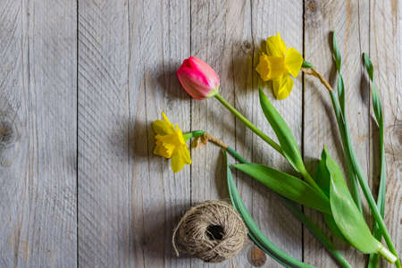 Top view of spring flowers bouquet. Yellow daffodils and pink tulip on wooden background. Copy space.の写真素材