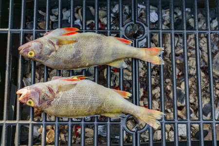 Top view of Grilled fresh fish. Cooking BBQ seafood on fire outdoors.